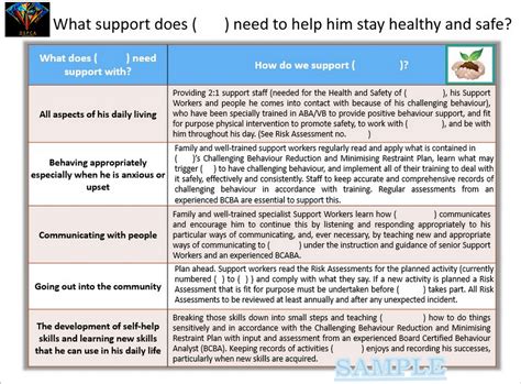 My Support Plan .